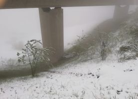 20190505_6 20190505_6