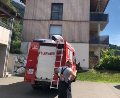 IMG-20200817-WA0003 IMG-20200817-WA0003